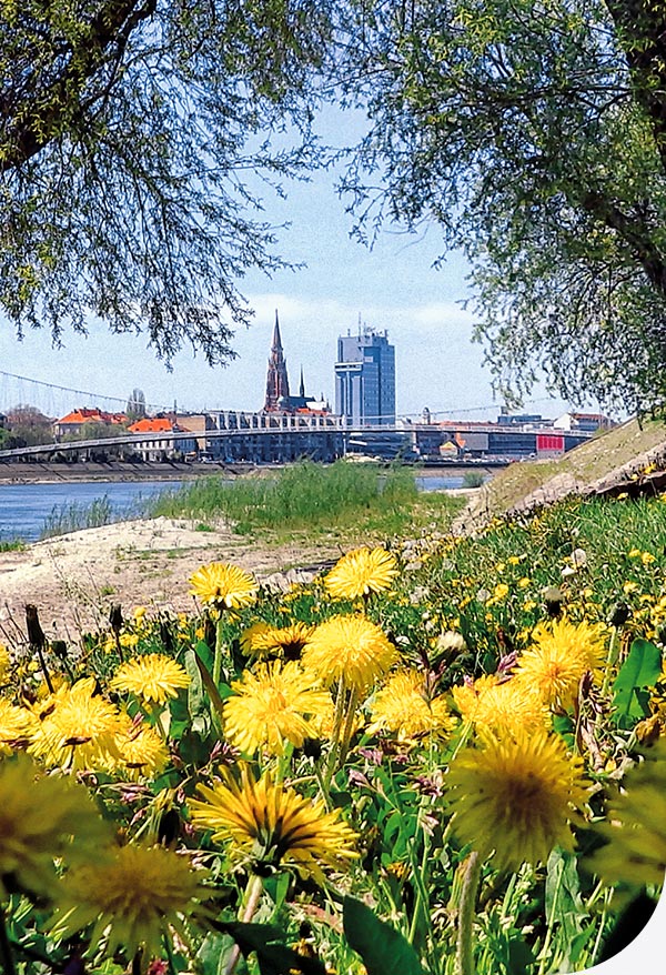 hkdm-Osijek, Na desnoj obali Drave, 2024